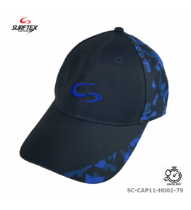 SC-CAP11-H001-79