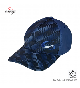 SC-CAP11-H003-79